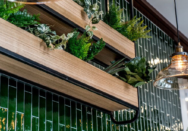 Green tiled wall with two hanging boxes of plants.
Source: Infin8 Construction P/L