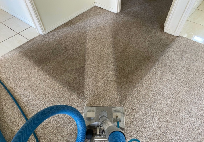 A dirty grey carpet gets vacuumed. 