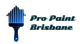 Pro Paint Brisbane
