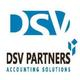 DSV Partners