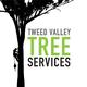 Tweed Valley Tree Services
