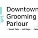 Downtown Grooming Parlour