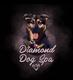 Diamond Dog Spa 