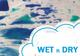 Wet N Dry