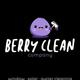 Berry Clean Company