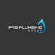 Pro Plumbing Group