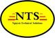 NTS: Nguyen Technical Solutions