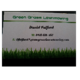 Green Grass Lawnmowing