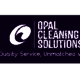Opal Cleaning Solutions 