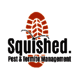 Squished Pest And Termite Management
