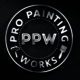 Pro Painting Works