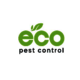 Eco Pest Control Gold Coast