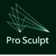Pro Sculpt Project Solutions