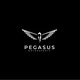 Pegasus Motorsports Co