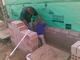 J.Cairncross Bricklaying Contractor
