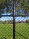 Secure Fencing And Guard
