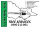 central vic tree services