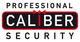 Professional Caliber Security