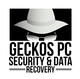 Geckos PC Security & Data Recovery