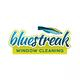 Bluestreak Window Cleaning 