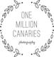 One Million Canaries Photography