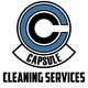 Capsule Cleaning Services