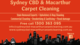 Sydney Cbd & Macarthur Carpet Cleaning