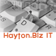 Hayton.Biz It Consulting