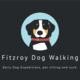 Fitzroy Dog Adventures