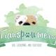 Transpawmers Dog Grooming & Boutique 