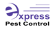Express Pest Control Labrador