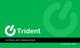 Trident Electrical And Communications