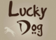 Lucky Dog Pet Services & Boarding