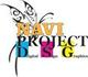 Navi Project DSG