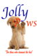 Jolly Paws Dog Grooming