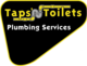 Taps N Toilets Plumbing Services