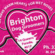 Brighton Dog Groomers