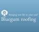 Bluegum Roofing