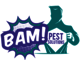 BAM Pest Solutions