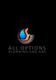 All Options Plumbing And Gas