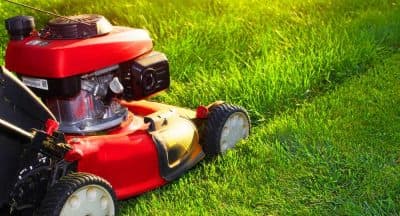 Lawn Mowing Cost Guide