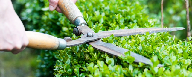 The 10 Best Gardeners In Gold Coast, Landscape Maintenance Jobs Gold Coast