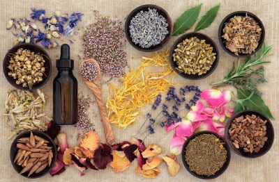 What is naturopathy?