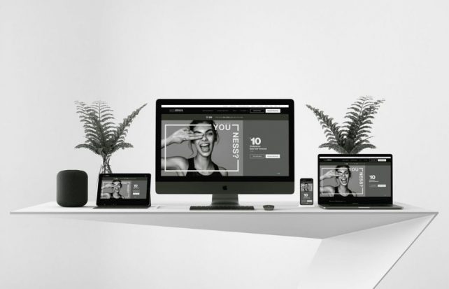 Black and white image depicts a white table with two ferns on each end and electronic devices with website design on the screens.