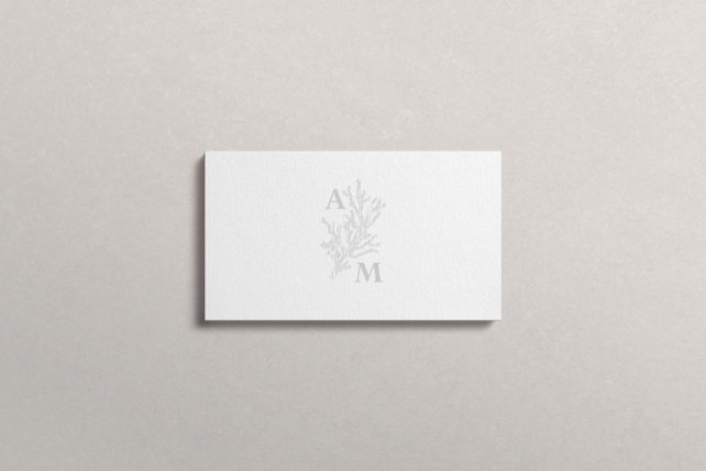 Cream coloured business card with a rustic silver branch in the middle. This branch splits the capitalised, silver letters A & B on opposite corners.