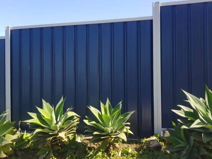 Blue sheet steel fence with white posts and rails behind a row of green plants.