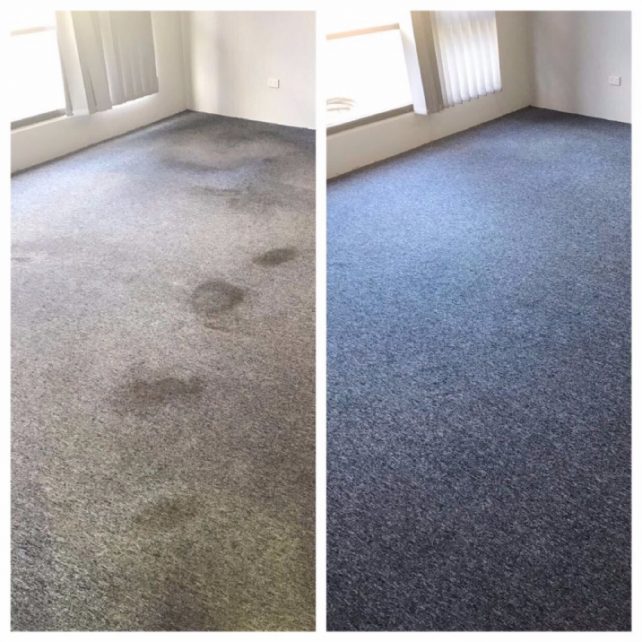 Professional Carpet Cleaning Prices 2022 Oneflare