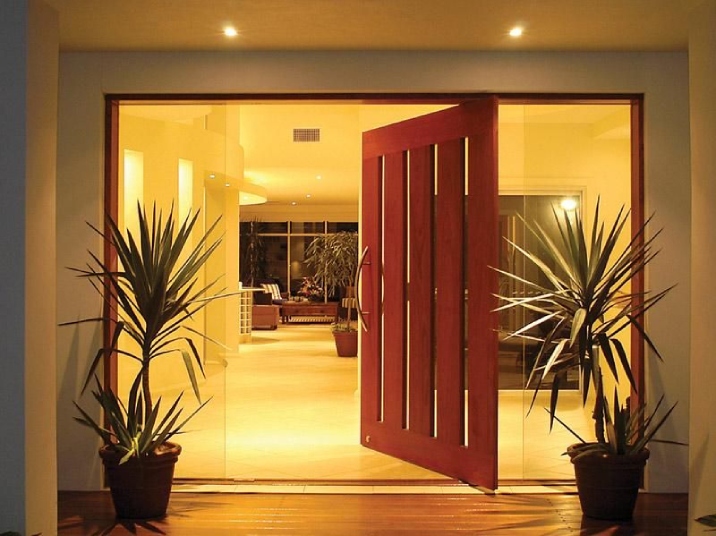 A large wooden pivot door with two plants on either side opens to a bright home.