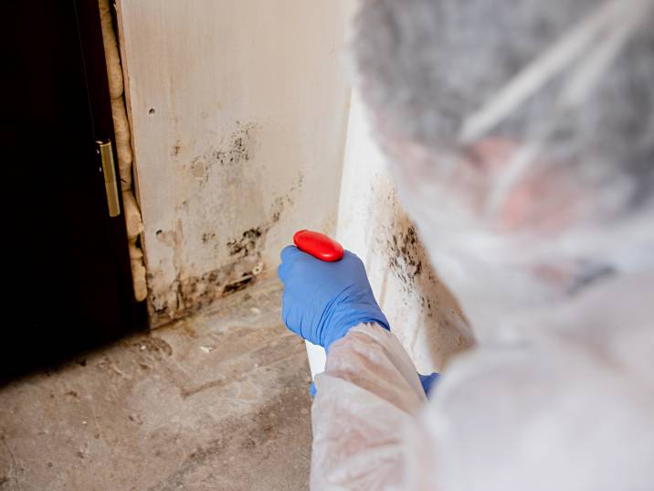 A woman in a protective suit removing mould